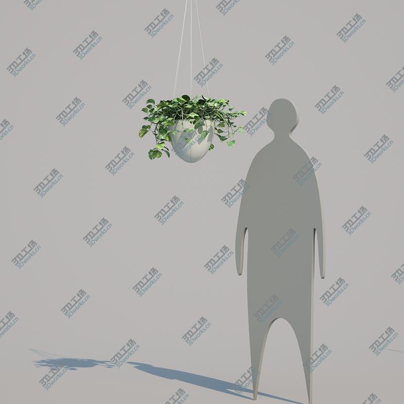 images/goods_img/202104094/3D model Epipremnum aureum 11/3.jpg